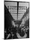 Photographic Print