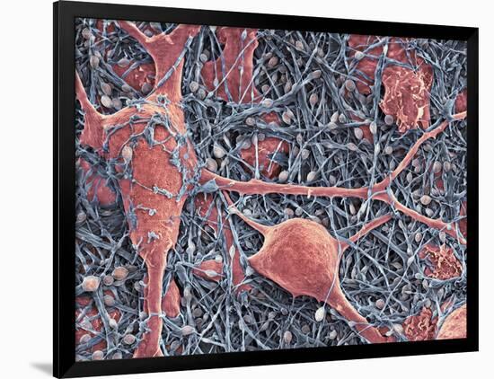 Photographic Print, , large