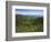 Thomas Divide, Great Smoky Mountains National Park, North Carolina, USA-Adam Jones-Framed Photographic Print