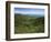 Thomas Divide, Great Smoky Mountains National Park, North Carolina, USA-Adam Jones-Framed Photographic Print