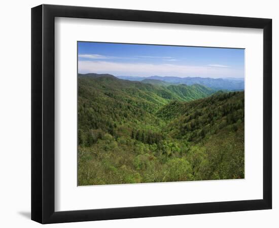 Thomas Divide, Great Smoky Mountains National Park, North Carolina, USA-Adam Jones-Framed Photographic Print