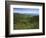 Thomas Divide, Great Smoky Mountains National Park, North Carolina, USA-Adam Jones-Framed Photographic Print