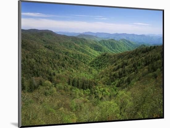 Thomas Divide, Great Smoky Mountains National Park, North Carolina, USA-Adam Jones-Mounted Photographic Print