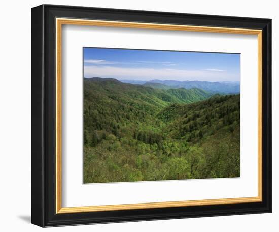 Thomas Divide, Great Smoky Mountains National Park, North Carolina, USA-Adam Jones-Framed Photographic Print