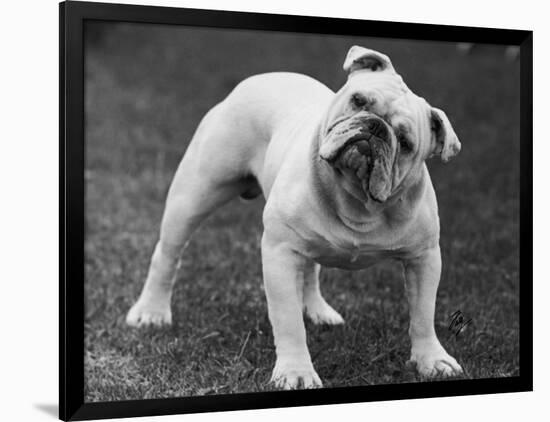 Photographic Print, , large
