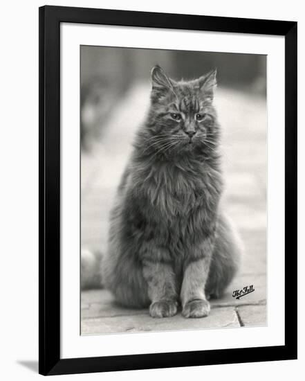 Photographic Print, , large