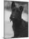 Photographic Print