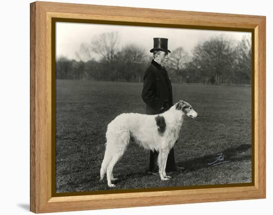 Thomas Fall with Borzoi-Thomas Fall-Framed Premier Image Canvas