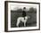 Thomas Fall with Borzoi-Thomas Fall-Framed Photographic Print