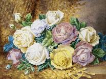 A Still Life of Roses-Thomas Frederick Collier-Premier Image Canvas