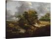 Stretched Canvas Print