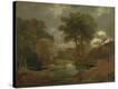 Stretched Canvas Print