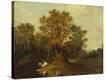 Stretched Canvas Print