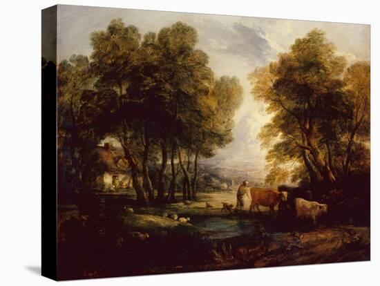 Stretched Canvas Print, , large