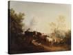 Stretched Canvas Print