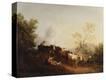 Stretched Canvas Print