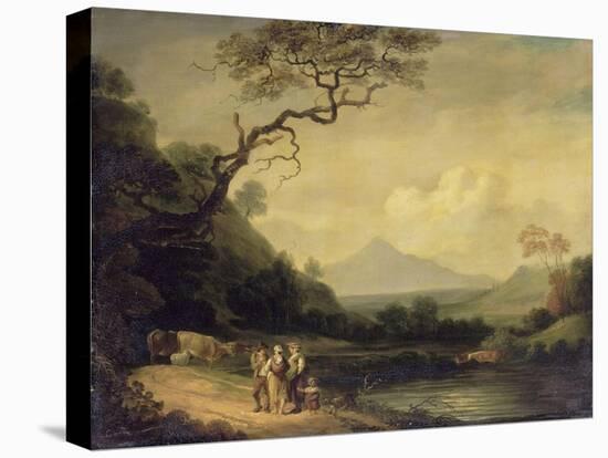 Stretched Canvas Print, , large