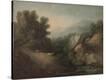 Stretched Canvas Print