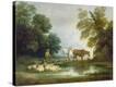 Stretched Canvas Print