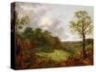 Stretched Canvas Print