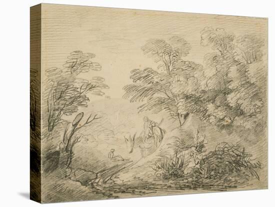 Stretched Canvas Print, , large