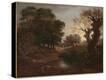 Stretched Canvas Print