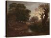 Stretched Canvas Print