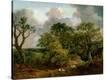 Stretched Canvas Print