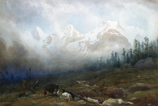 Giclee Print, , large