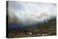 Stretched Canvas Print