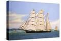 Stretched Canvas Print
