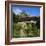 Thomas Hardy's Cotttage, Hardy's Birthplace, Dorset, England-Roy Rainford-Framed Photographic Print