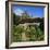 Thomas Hardy's Cotttage, Hardy's Birthplace, Dorset, England-Roy Rainford-Framed Photographic Print