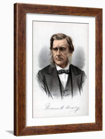 Thomas Henry Huxley, English Biologist, C1890-Petter & Galpin Cassell-Framed Giclee Print