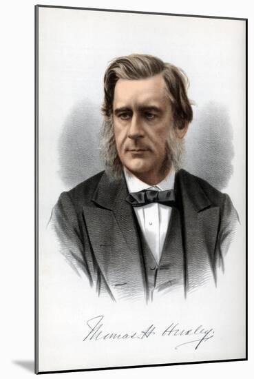 Thomas Henry Huxley, English Biologist, C1890-Petter & Galpin Cassell-Mounted Giclee Print