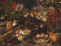 Still Life with Flowers-Thomas Hiepes-Giclee Print