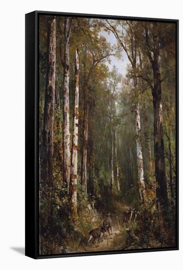 Stretched Canvas Print, , large