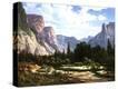 Stretched Canvas Print