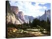 Stretched Canvas Print