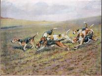 Dogs, Illustration from 'Hounds'-Thomas Ivester Lloyd-Mounted Giclee Print