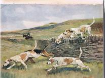 Dogs, Illustration from 'Hounds'-Thomas Ivester Lloyd-Framed Giclee Print