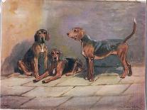 Dogs, Illustration from 'Hounds'-Thomas Ivester Lloyd-Mounted Giclee Print