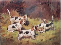 Dogs, Illustration from 'Hounds'-Thomas Ivester Lloyd-Giclee Print