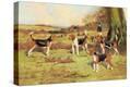 Stretched Canvas Print