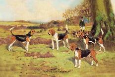 Fell Foxhounds-Thomas Ivester Llyod-Art Print