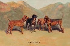Orthodox Foxhounds-Thomas Ivester Llyod-Art Print