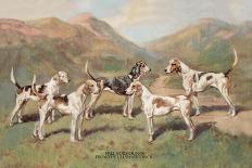 Fell Foxhounds-Thomas Ivester Llyod-Framed Art Print