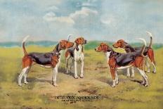 Orthodox Foxhounds-Thomas Ivester Llyod-Art Print