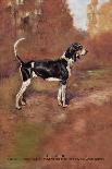 Beagles-Thomas Ivester Llyod-Framed Stretched Canvas