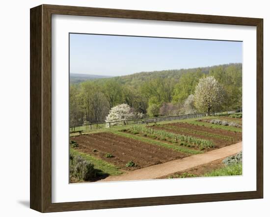 Thomas Jefferson's Monticello, Virginia, United States of America, North America-Snell Michael-Framed Photographic Print